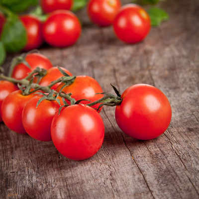 Анализ рынка томатов в России