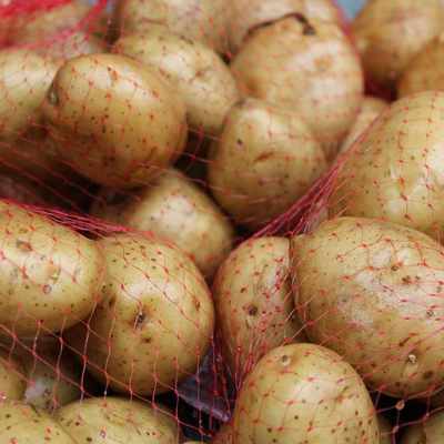 Анализ рынка мытого фасованного картофеля