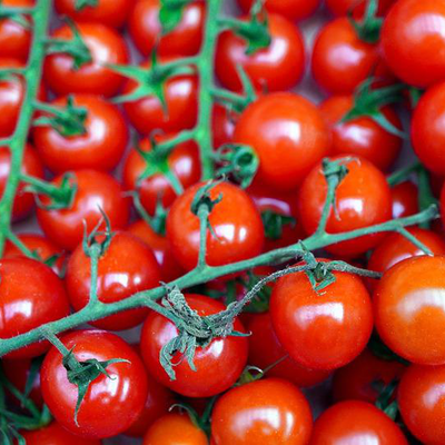 Анализ рынка свежих томатов в России