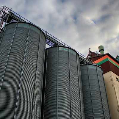 Анализ рынка услуг хранения зерна в России