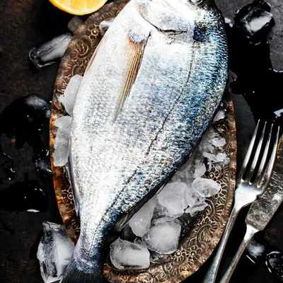 Анализ рынка свежей (охлаждённой) рыбы в России