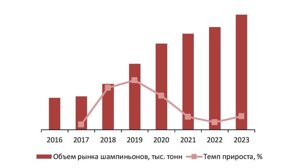 Динамика объема рынка шампиньонов, 2016–2023 гг., тыс. тонн