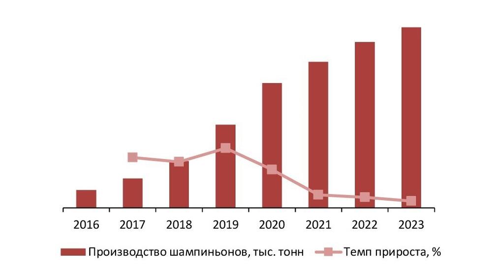 Динамика объемов производства шампиньонов в РФ, 2016–2023 гг., тыс. тонн